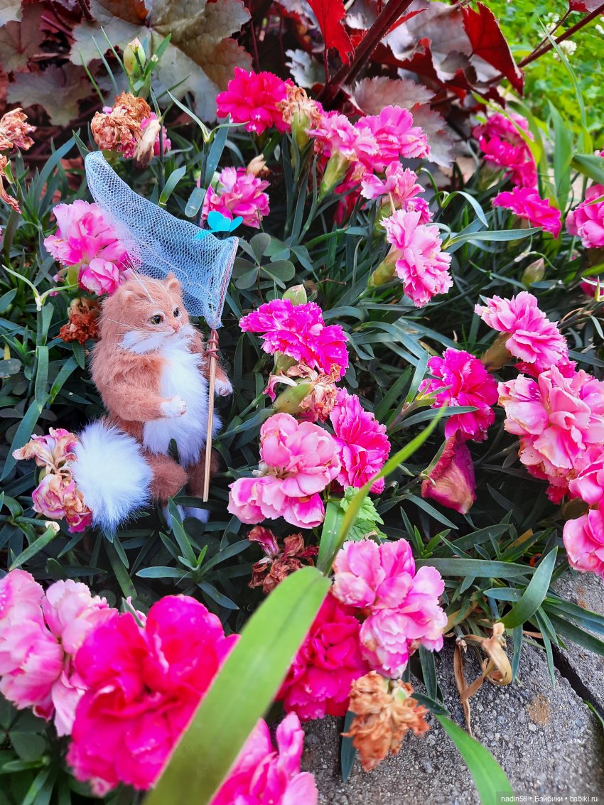 Дневник путешествия кота Василия (часть 1) (фото 7)