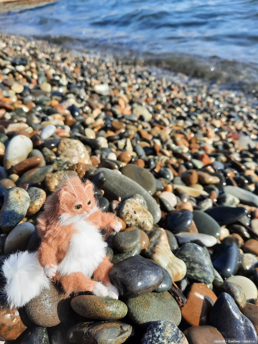 Дневник путешествия кота Василия (часть 1) (фото 8)