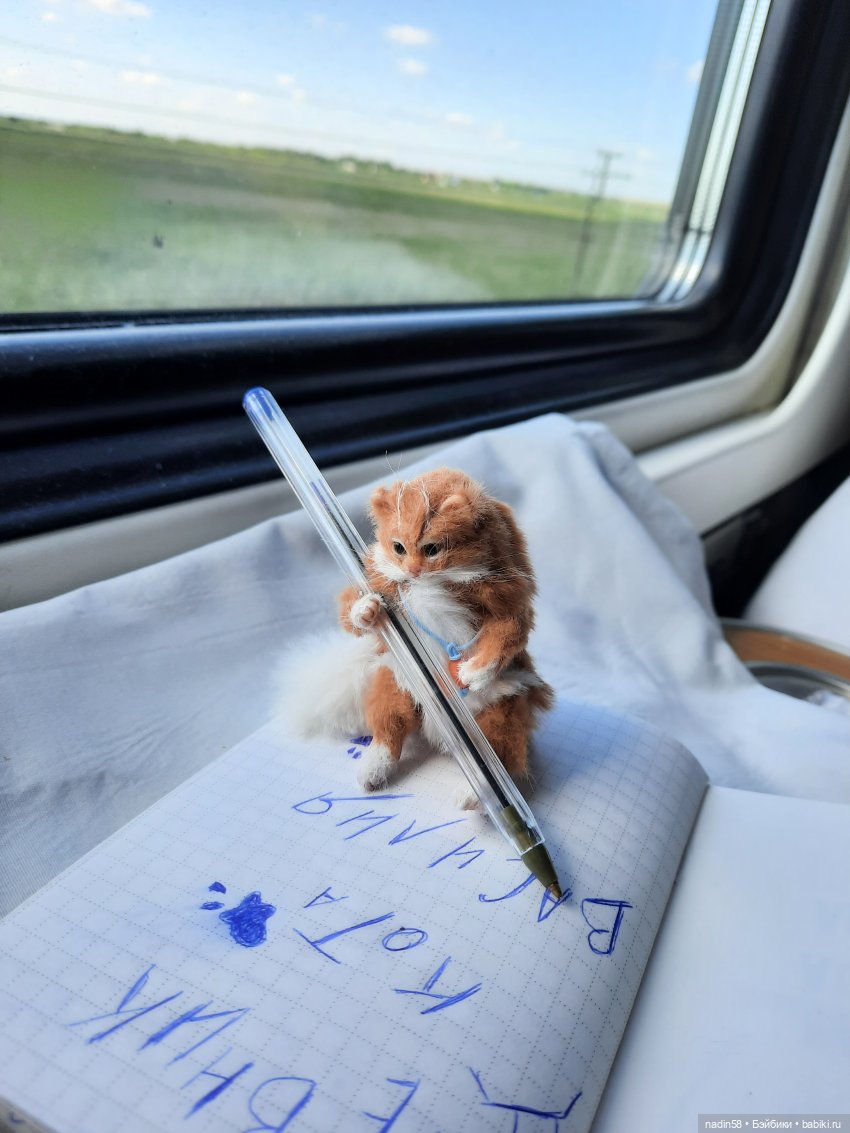 Дневник путешествия кота Василия (часть 1)