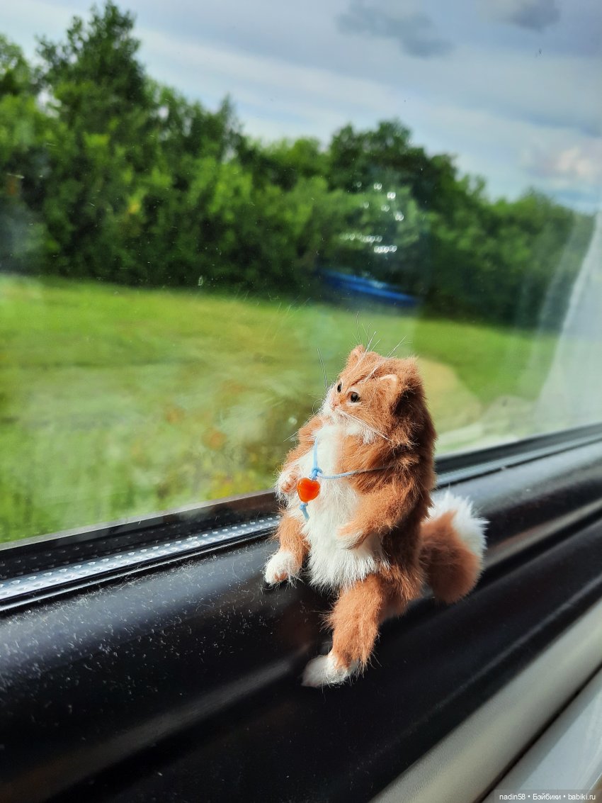 Дневник путешествия кота Василия (часть 1) (фото 2)