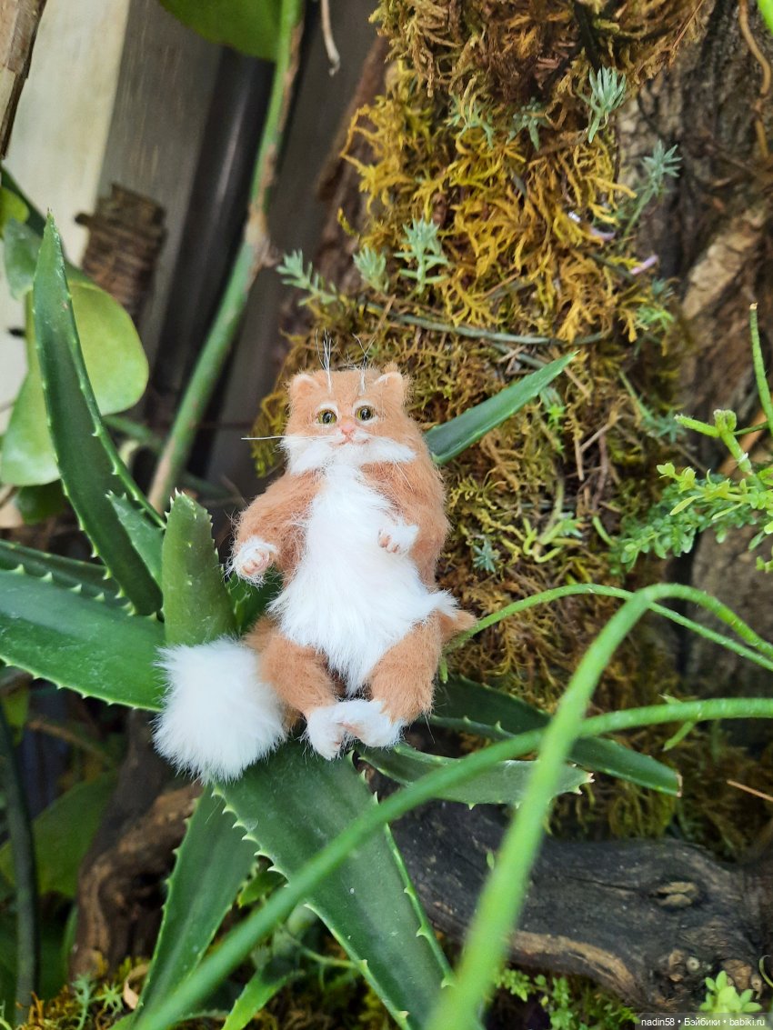 Дневник путешествия кота Василия (часть 1) (фото 5)