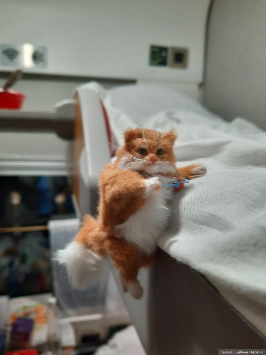 Дневник путешествия кота Василия (часть 1) (фото 3)