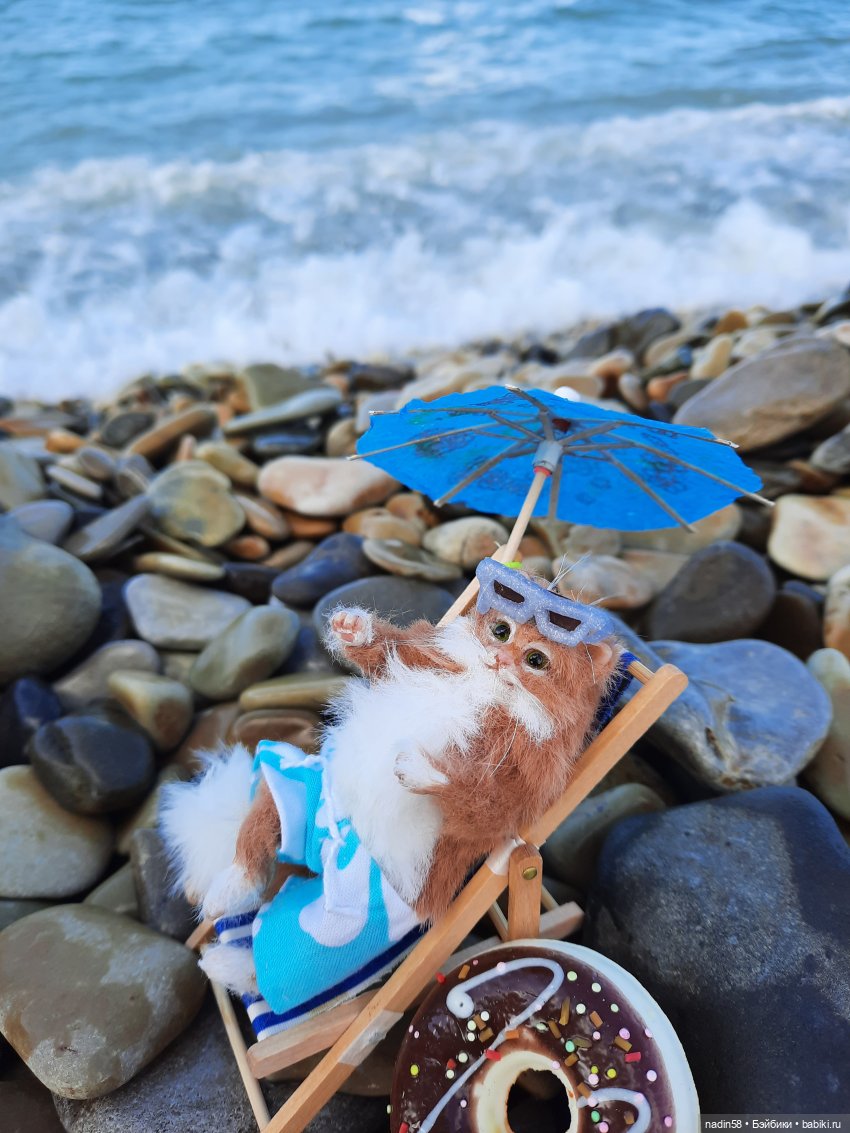 Дневник путешествия кота Василия (часть 1) (фото 9)