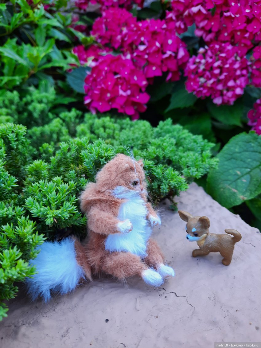 Дневник путешествия кота Василия (часть 1) (фото 6)