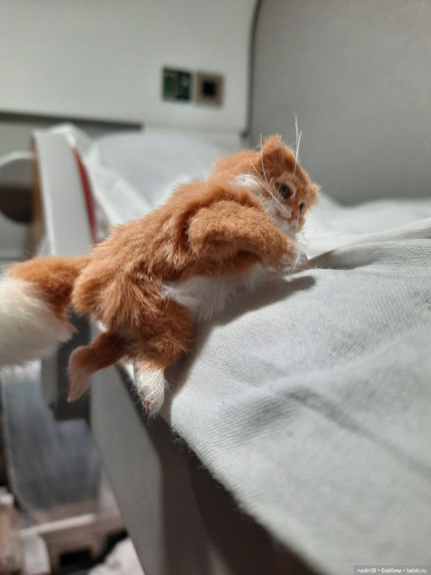 Дневник путешествия кота Василия (часть 1) (фото 4)