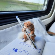 Дневник путешествия кота Василия (часть 1)