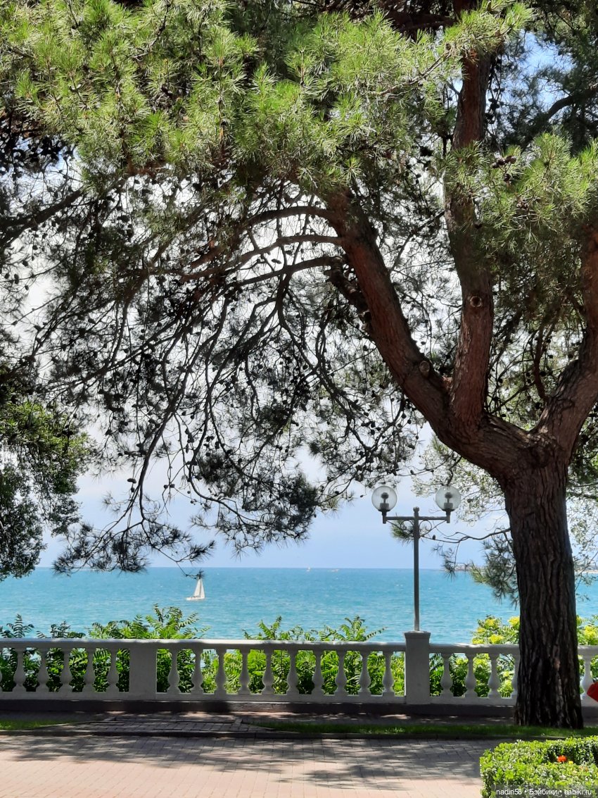 Дневник путешествия кота Василия (часть 3) (фото 5)