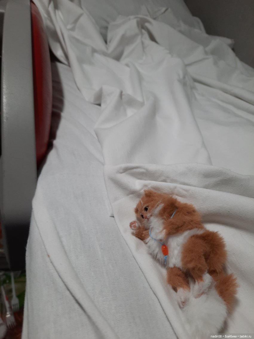 Дневник путешествия кота Василия (часть 3) (фото 10)