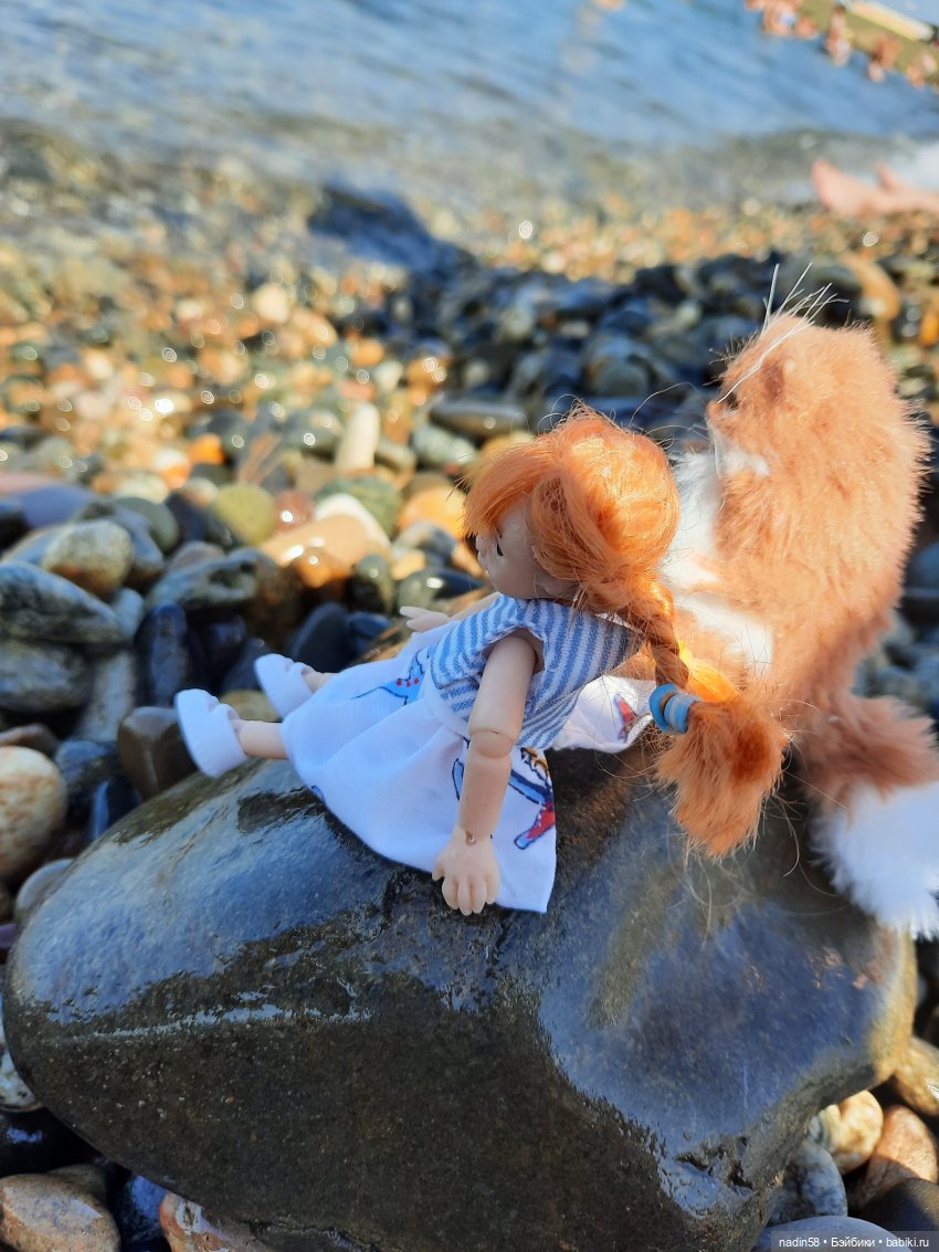 Дневник путешествия кота Василия (часть 3) (фото 2)