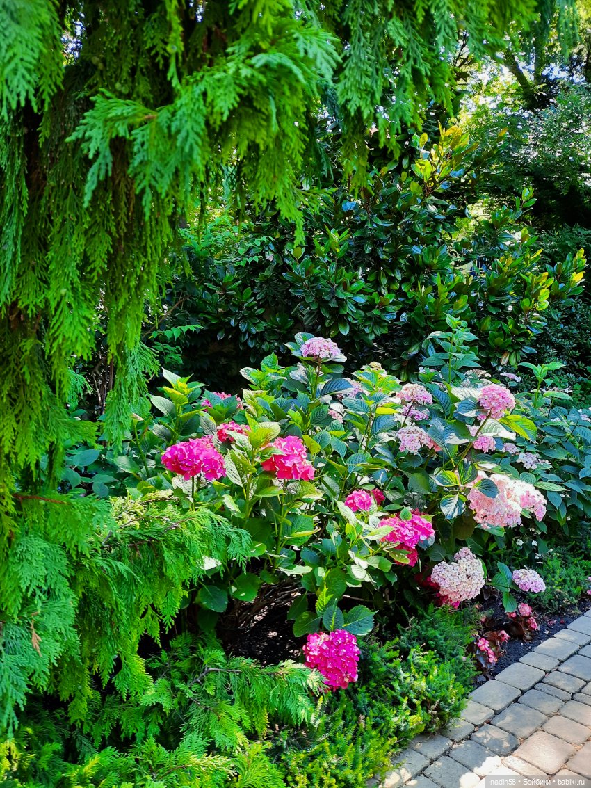 Дневник путешествия кота Василия (часть 3)