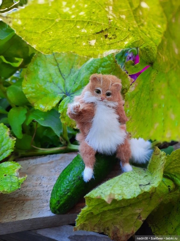 Дневник кота Василия Дача (часть 1) (фото 9)