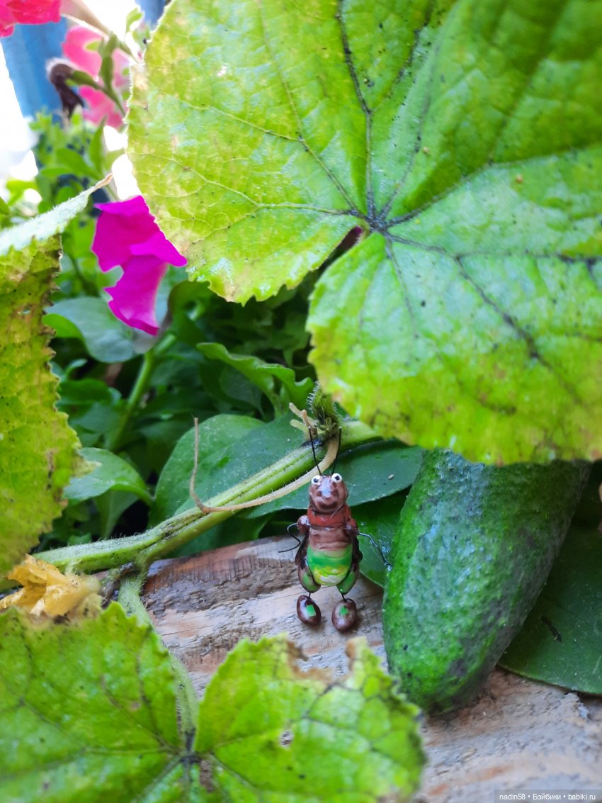 Дневник кота Василия Дача (часть 1) (фото 10)