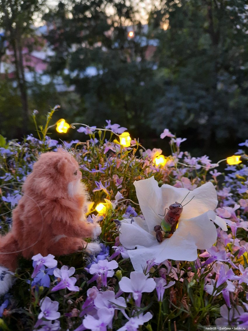 Дневник кота Василия Дача (часть 1) (фото 8)