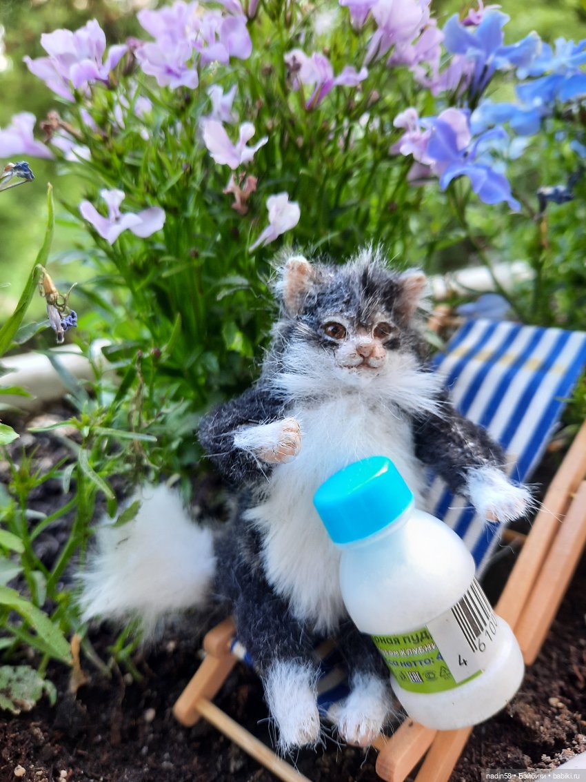 Дневник кота Василия Дача (часть 1)