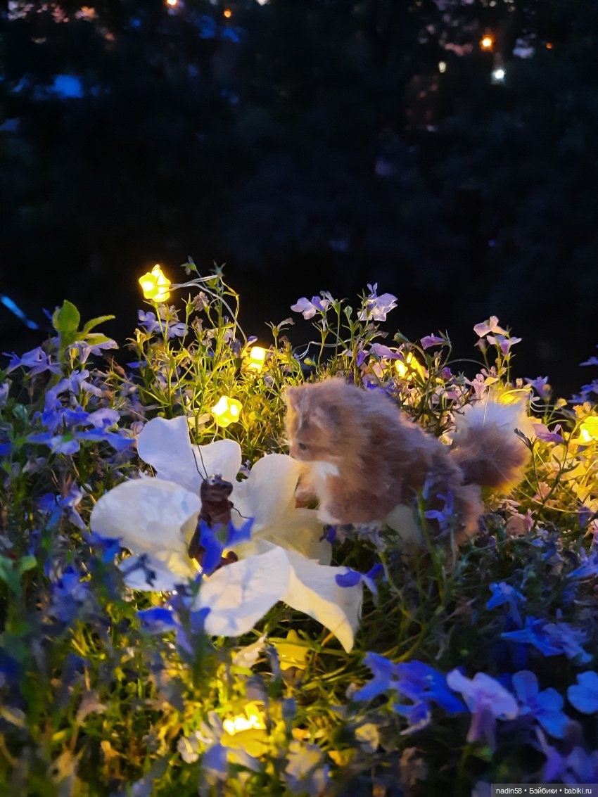 Дневник кота Василия Дача (часть 1) (фото 3)