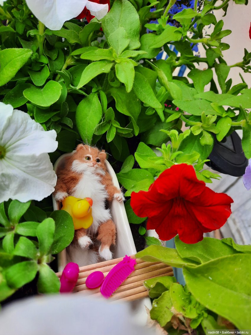 Дневник кота Василия Дача (часть 2)