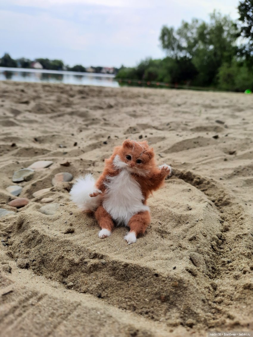 Дневник кота Василия Дача (часть 2) (фото 7)