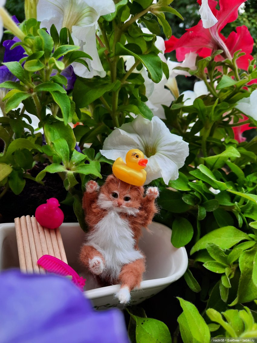 Дневник кота Василия Дача (часть 2)