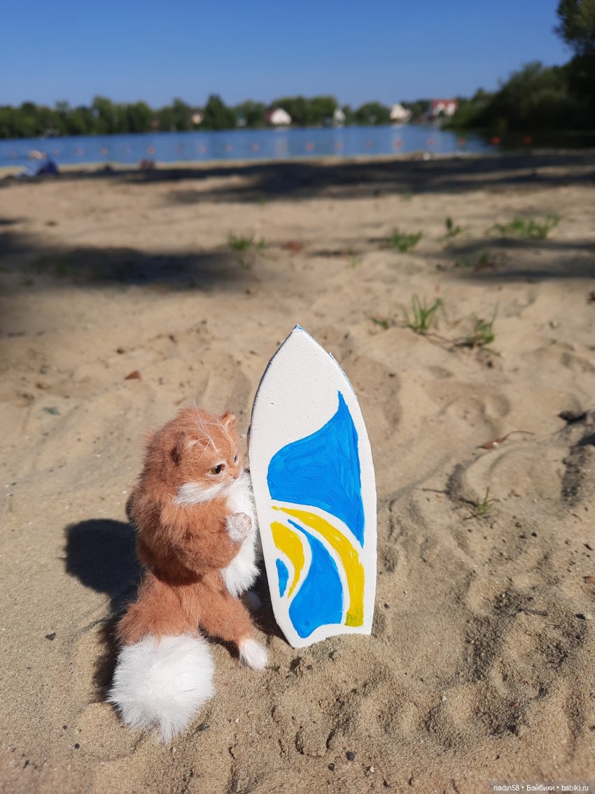 Дневник кота Василия Дача (часть 2) (фото 9)