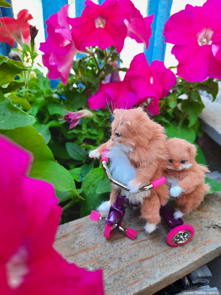 Дневник кота Василия Дача (часть 2) (фото 4)