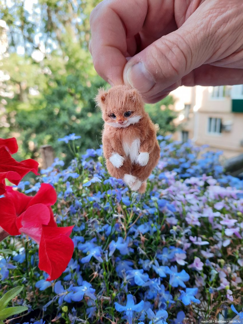 Дневник кота Василия Дача (часть 2) (фото 3)