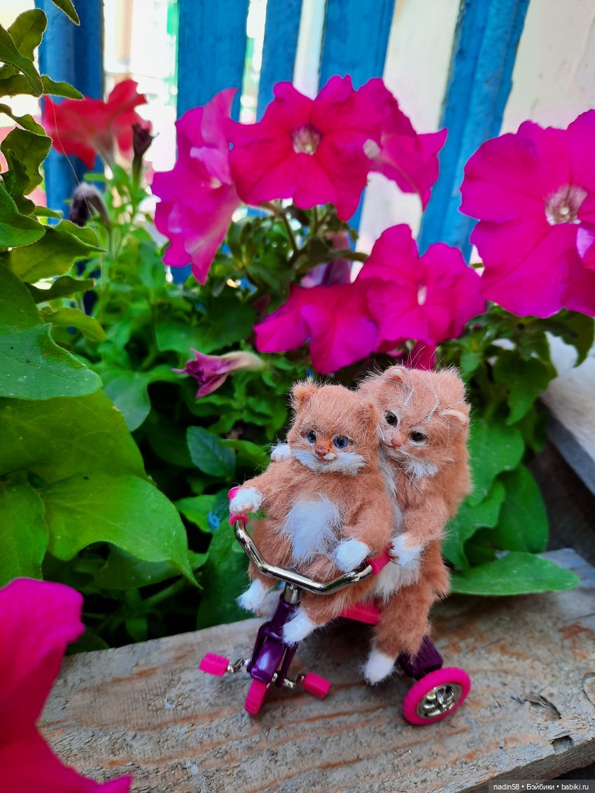 Дневник кота Василия Дача (часть 2) (фото 5)