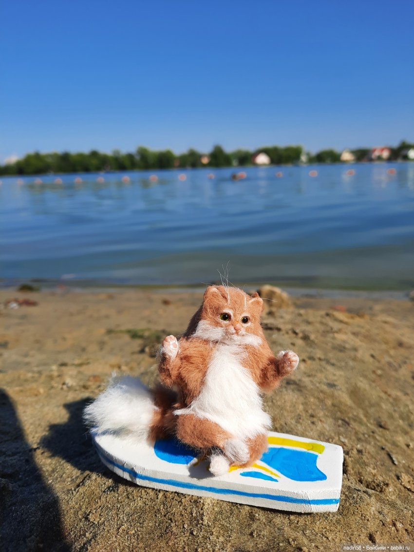 Дневник кота Василия Дача (часть 2) (фото 10)