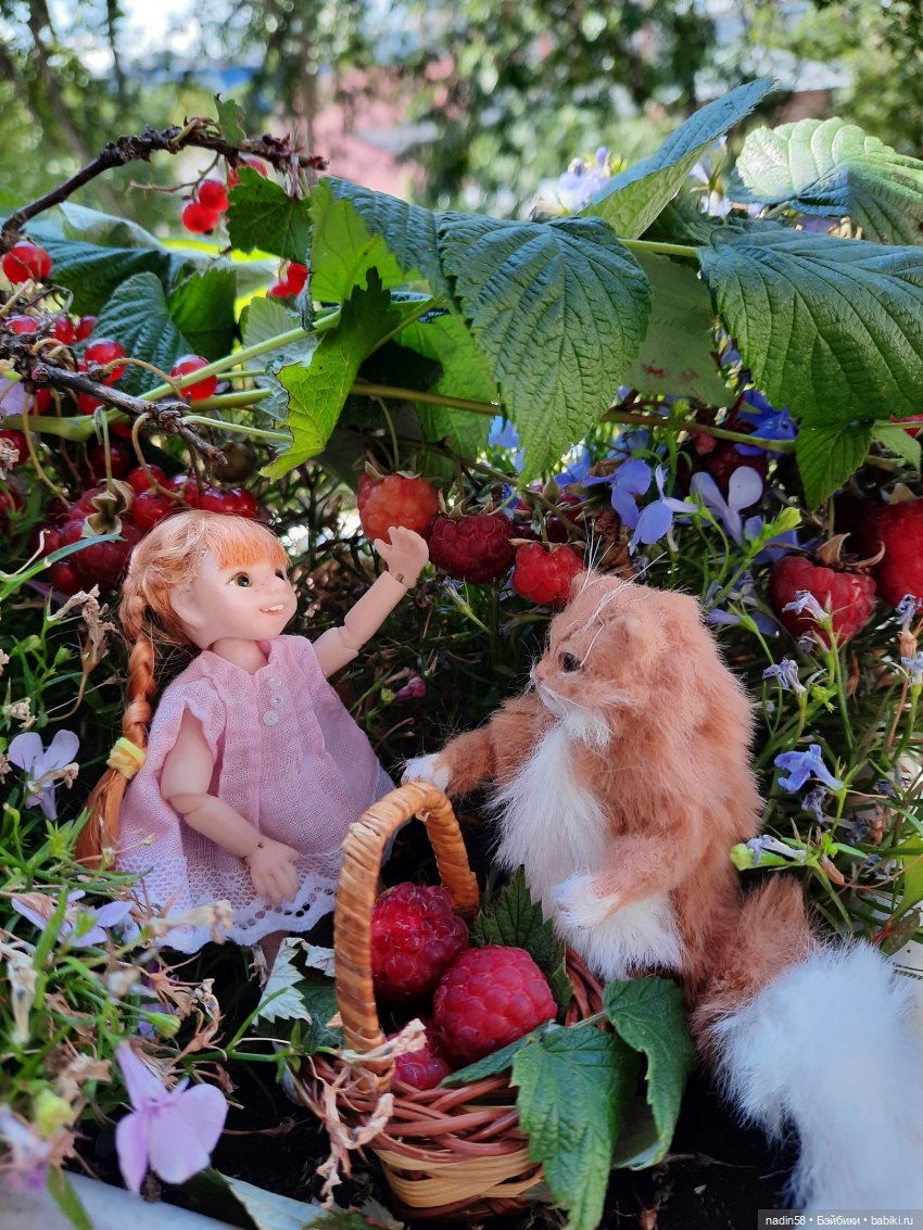 Дневник кота Василия Дача (часть 2)