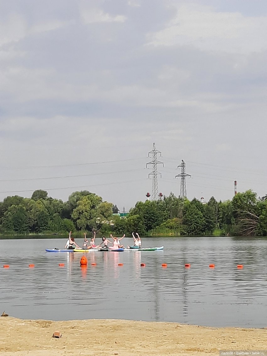 Дневник кота Василия Дача (часть 2) (фото 8)