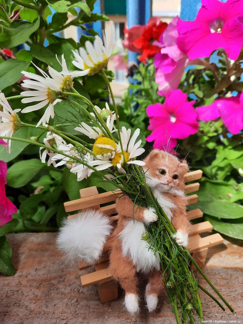 Дневник кота Василия Дача (часть 3) (фото 4)