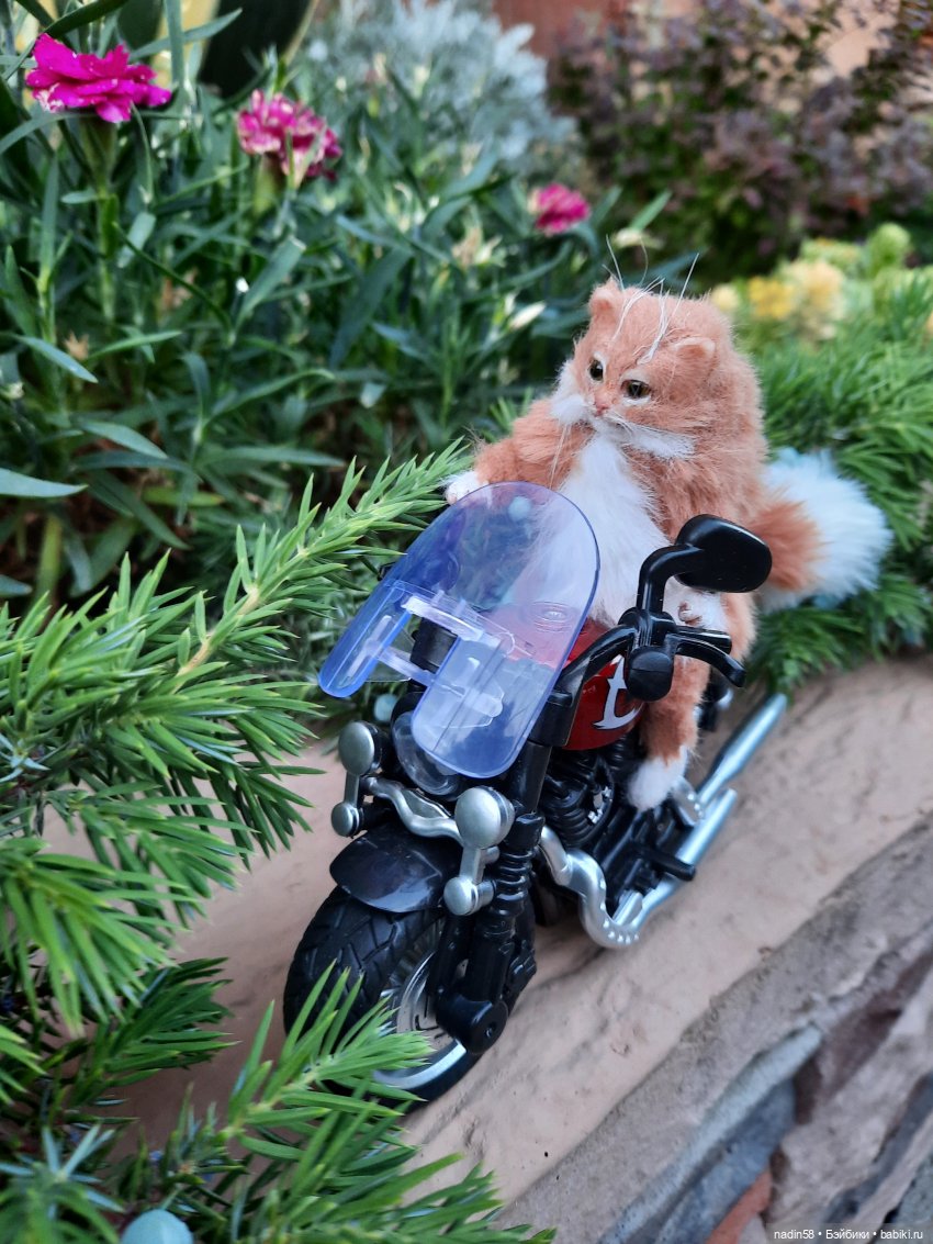 Дневник кота Василия Дача (часть 3)