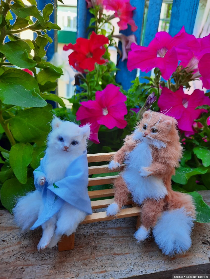 Дневник кота Василия Дача (часть 3) (фото 6)