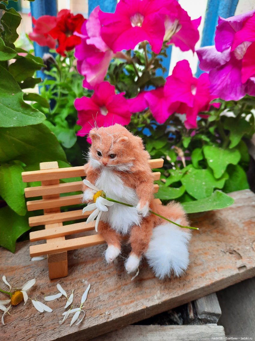 Дневник кота Василия Дача (часть 3) (фото 5)