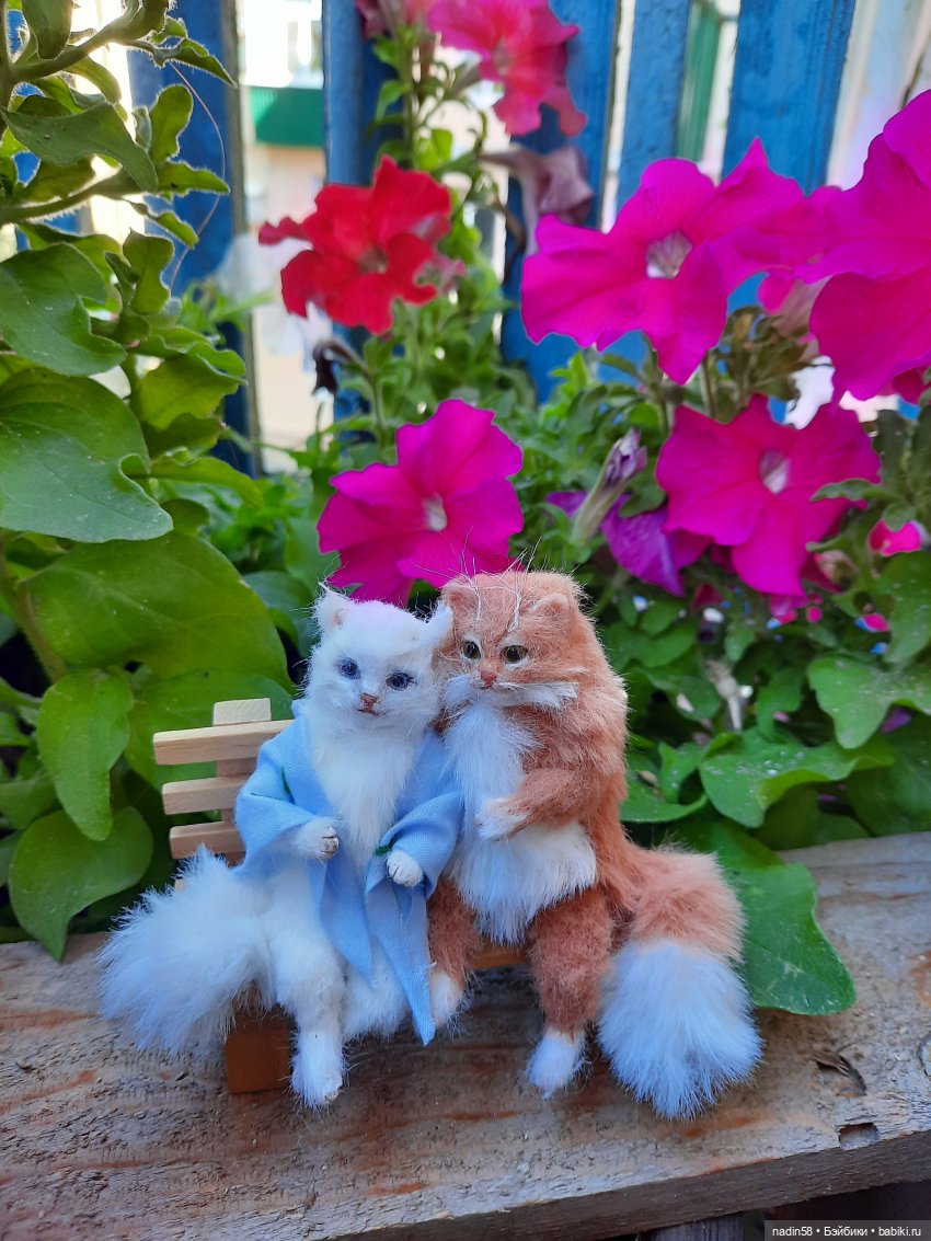 Дневник кота Василия Дача (часть 3) (фото 8)