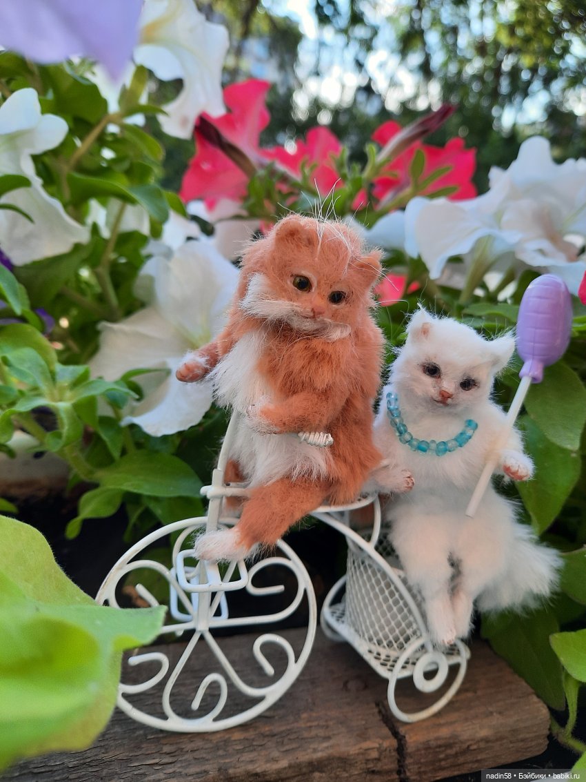 Дневник кота Василия Дача (часть 3) (фото 9)