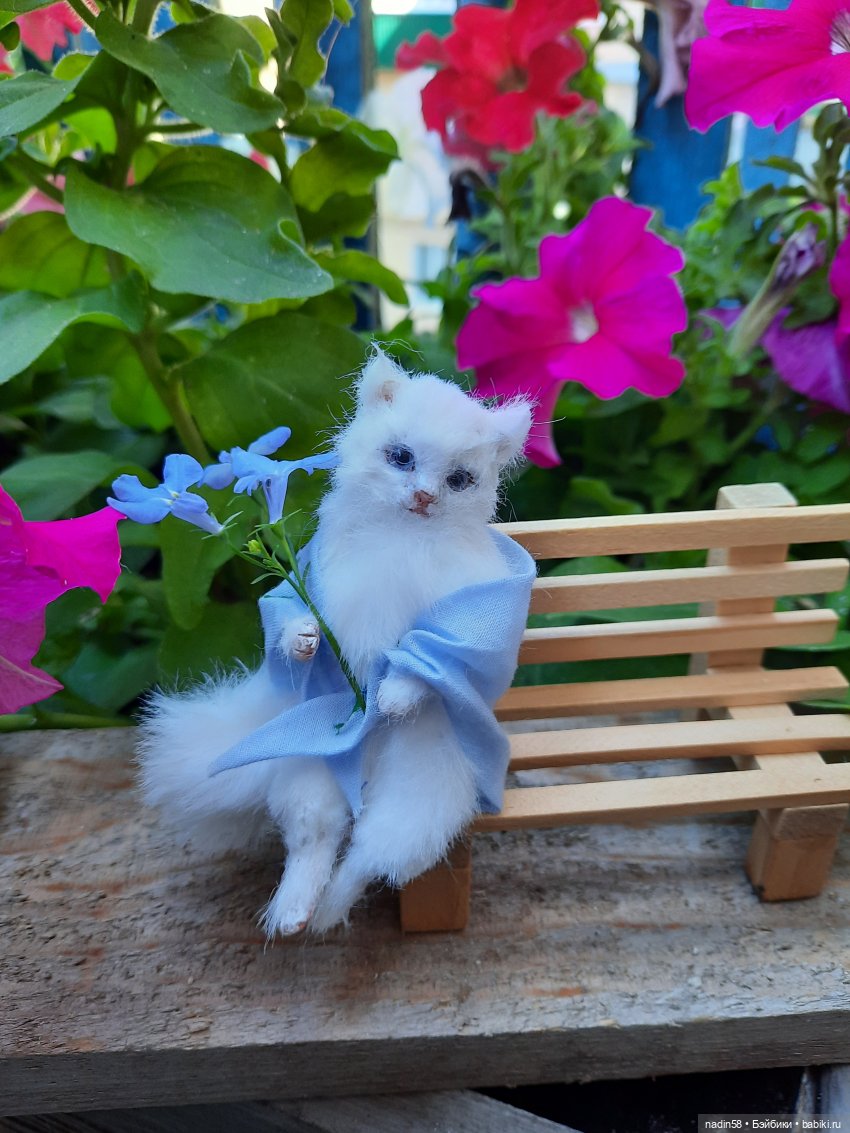 Дневник кота Василия Дача (часть 3) (фото 7)