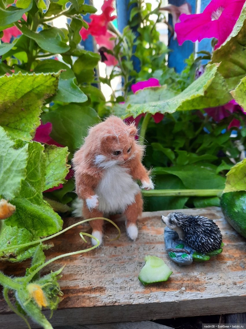 Дневник кота Василия Дача (часть 3) (фото 3)