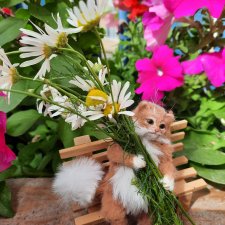 Дневник  кота Василия Дача (часть 3)