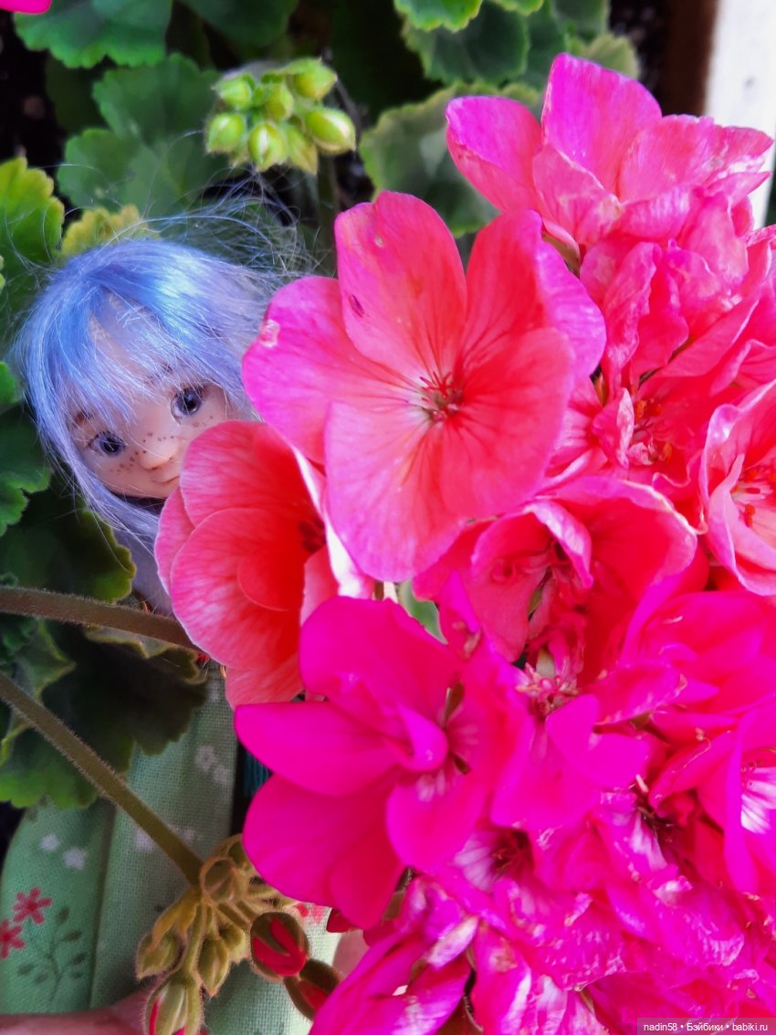 Дневник кота Василия (Каникулы Ягуси)🍄🌿 ч3 (фото 9)