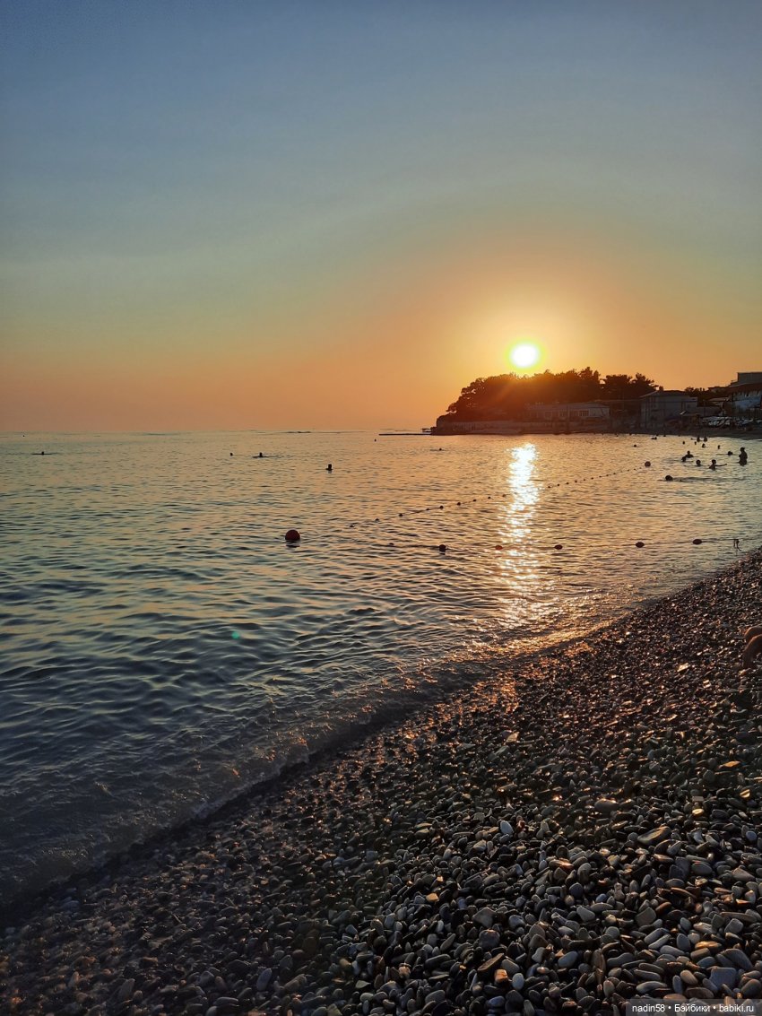 Дневник кота Василия (Каникулы Ягуси)🍄🌿 ч3 (фото 8)