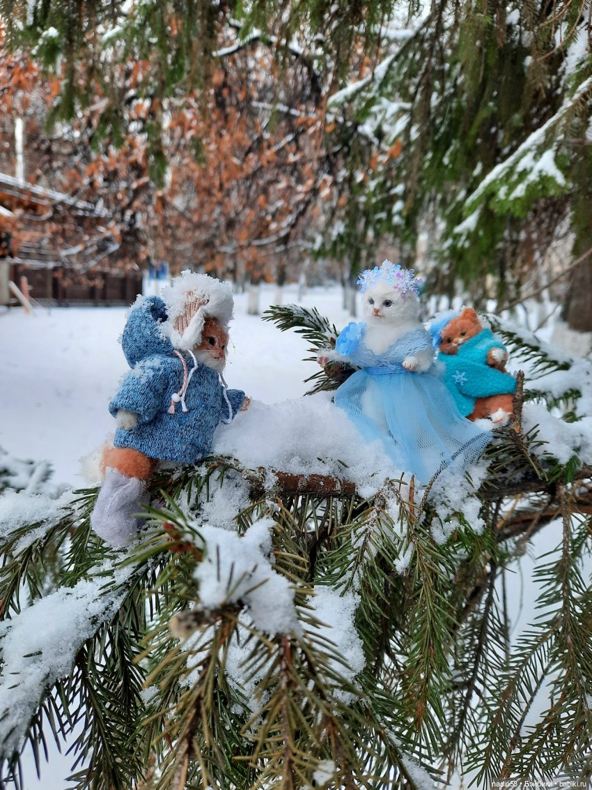 Снежное приключение кота Василия (фото 6)