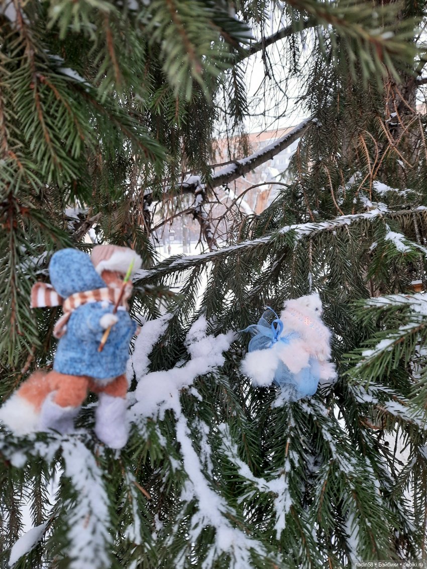 Снежное приключение кота Василия (фото 5)