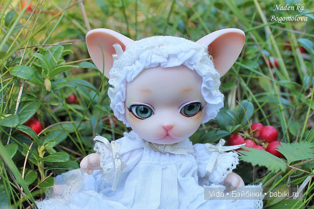 Pang-Ju (Панг-Джу) Milk Pang Мечты должны сбываться