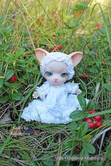 Pang-Ju (Панг-Джу) Milk Pang Мечты должны сбываться (фото 2)