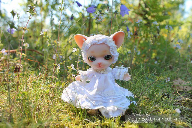 Pang-Ju (Панг-Джу) Milk Pang Мечты должны сбываться (фото 6)