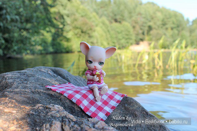 Летние деньки Миу и Марси (Hujoo Baby и Pang Ju) (фото 7)