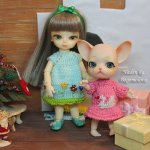 Новый год в Волшебном Лесу. Hujoo baby и Pang Ju