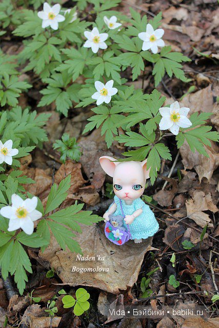 Кошки-мышки, Pang Ju — Куклы Ai Doll и Pangju (Панджу): Tiny BJD (БЖД) (фото 3)