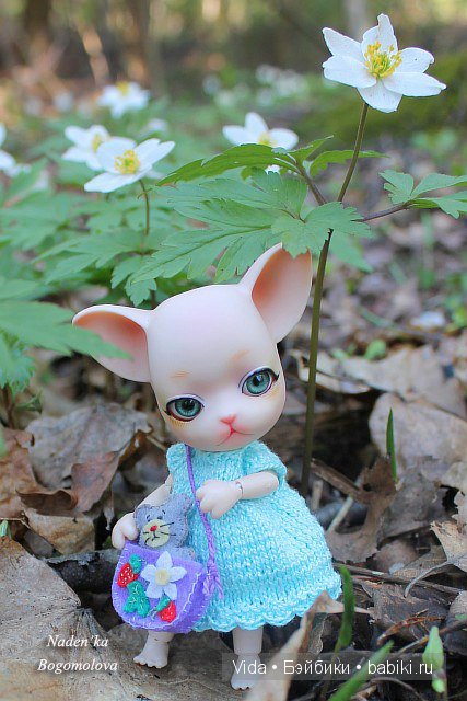 Кошки-мышки, Pang Ju — Куклы Ai Doll и Pangju (Панджу): Tiny BJD (БЖД) (фото 4)