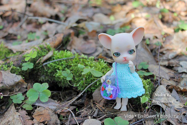Кошки-мышки, Pang Ju — Куклы Ai Doll и Pangju (Панджу): Tiny BJD (БЖД) (фото 5)